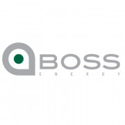 BOSS Professional Services